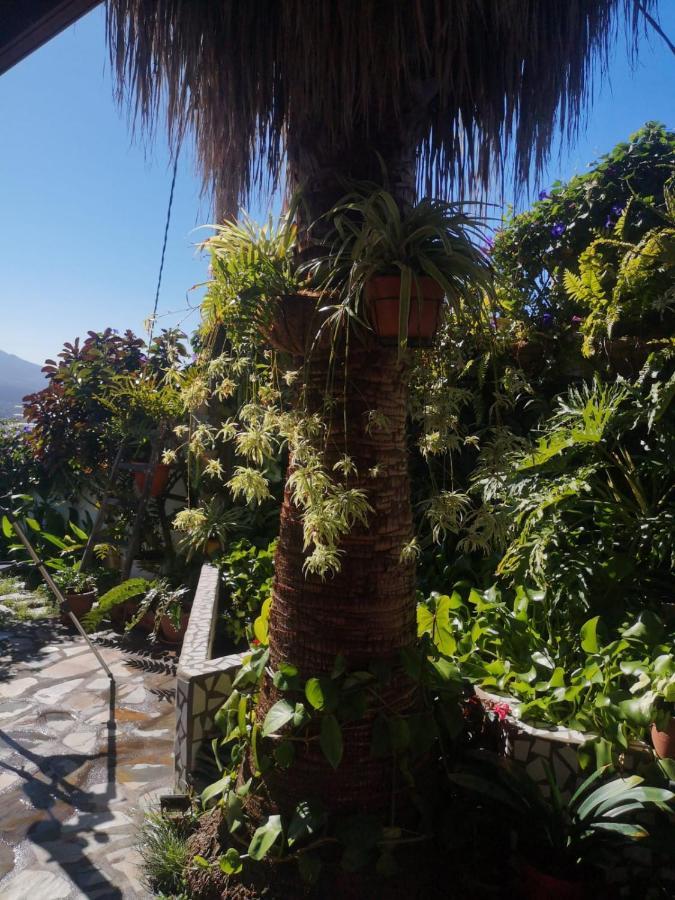 Villa Sila El Paso Extérieur photo